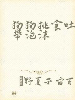 狗狗挑食吐黄水带泡沫