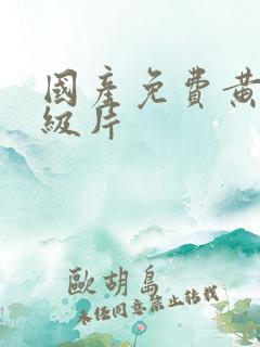 国产免费黄色一级片