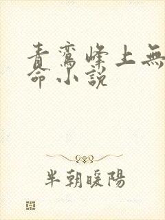 青鸾峰上无敌天命小说