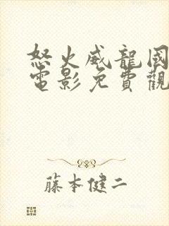 怒火威龙国语版电影免费观看