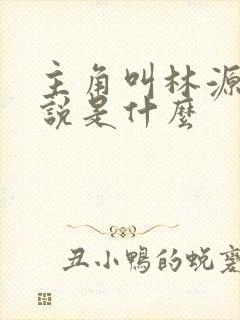 主角叫林源的小说是什么