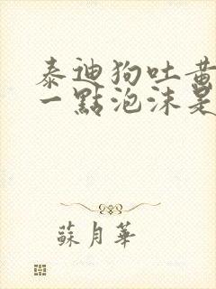 泰迪狗吐黄水有一点泡沫是什么原因