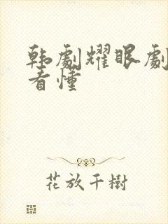 韩剧耀眼剧情没看懂