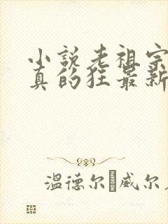 小说老祖宗她是真的狂最新章节