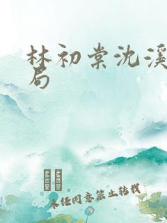 林初棠沈溪泽结局