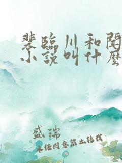 裴临川和闻落的小说叫什么名字