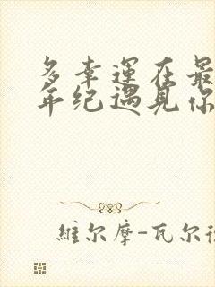 多幸运在最美的年纪遇见你是哪首歌的歌词