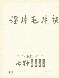 淫片毛片视频