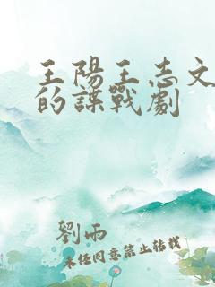 王阳王志文主演的谍战剧