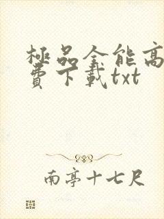 极品全能高手免费下载txt