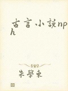 古言小说np高h