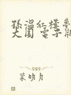 孙温红楼梦高清大图 电子版