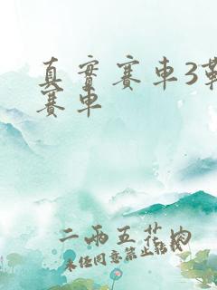 真实赛车3勒芒赛车