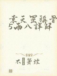 袁天罡称骨算命5两八详解