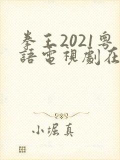 拳王2021粤语电视剧在线观看免费
