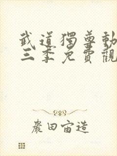 武道独尊动漫第三季免费观看全集