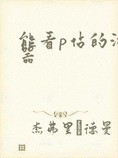 能看p站的游览器