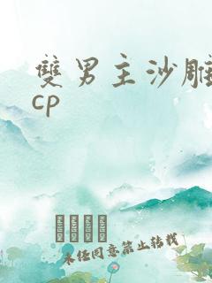 双男主沙雕动画cp