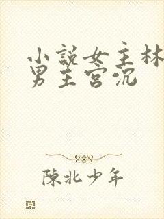 小说女主林知意男主宫沉