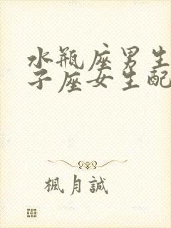 水瓶座男生和双子座女生配对指数