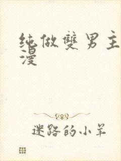 纯做双男主的动漫