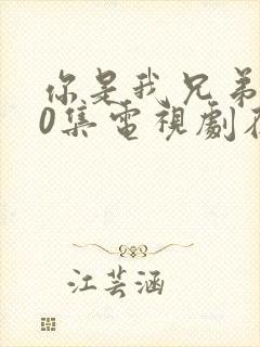 你是我兄弟全40集电视剧在线播放免费