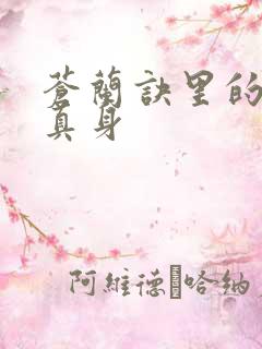 苍兰诀里的结黎真身