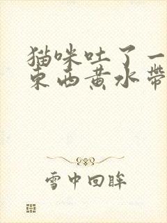 猫咪吐了一堆黄东西黄水带泡沫