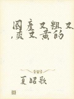 国产又粗又猛又,爽又黄的