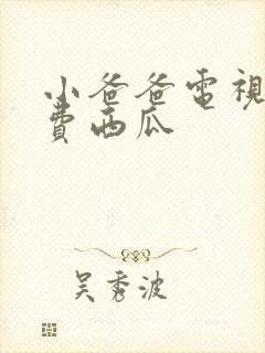 小爸爸电视剧免费西瓜