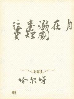 往事溺在月光免费短剧