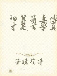 神算萌妻傅太太才是玄学真大佬全部章节