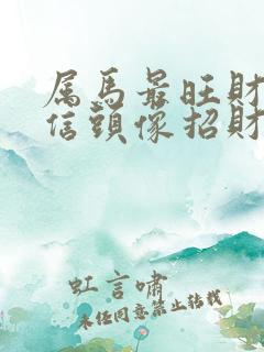 属马最旺财的微信头像招财