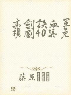 亮剑铁血军魂电视剧40集免费观看