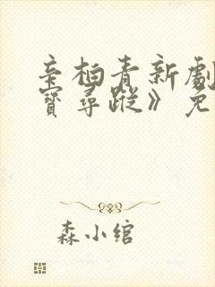 辛柏青新剧《护宝寻踪》免费观看