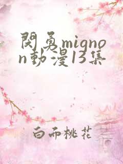 闵勇mignon动漫13集
