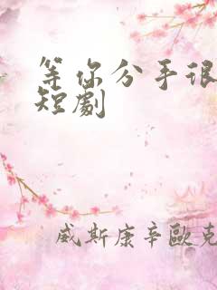 等你分手很久了短剧