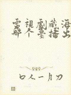 电视剧藏海传在哪个台播出