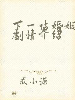 下一站婚姻电视剧情介绍