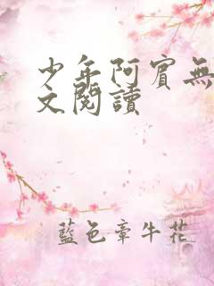 少年阿宾无删全文阅读