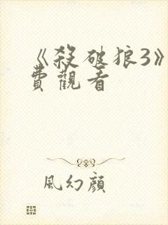 《杀破狼3》免费观看