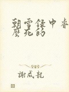 朝雪录中睿王怎么死的