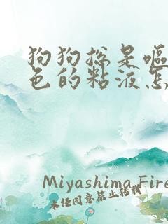 狗狗总是呕吐白色的粘液怎么回事