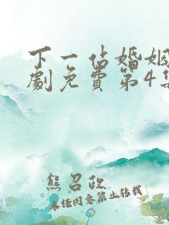 下一站婚姻电视剧免费第4集