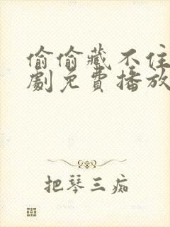 偷偷藏不住电视剧免费播放全集