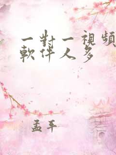 一对一视频聊天软件人多