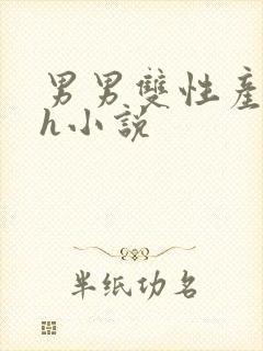 男男双性产子高h小说