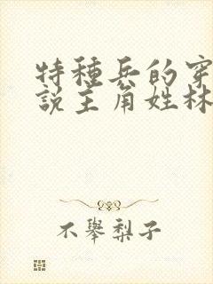 特种兵的穿越小说主角姓林