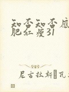 知否知否应是绿肥红瘦31