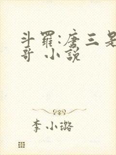 斗罗:唐三是我哥 小说